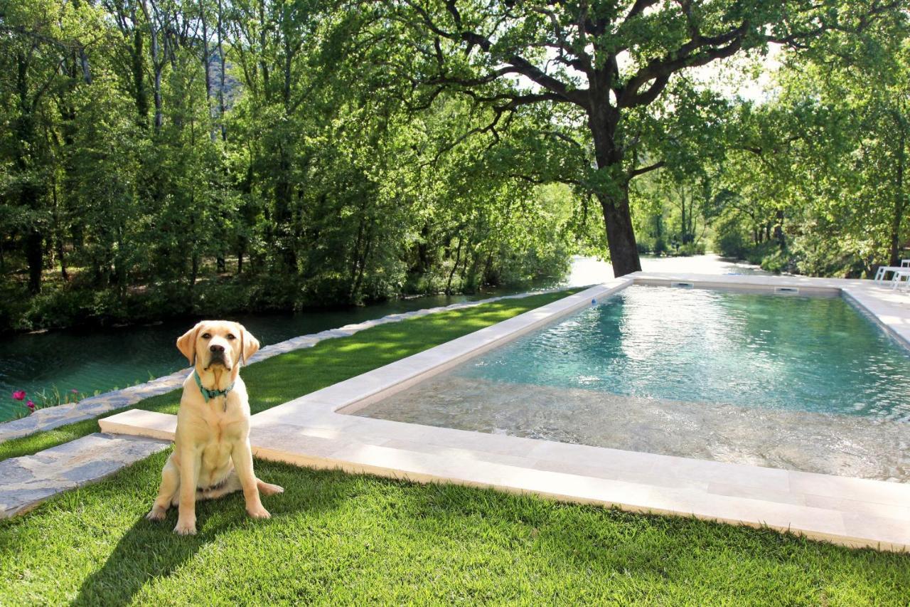 La Magnanerie D'Hotes ,Le Jardin Secret Sauve Экстерьер фото