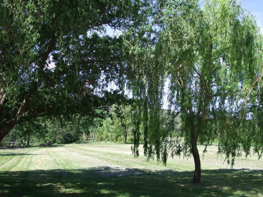 La Magnanerie D'Hotes ,Le Jardin Secret Sauve Экстерьер фото